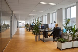Cadesign 29