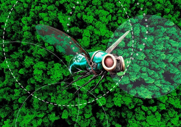 SCHAKO-cirkler-and-the-fly-1