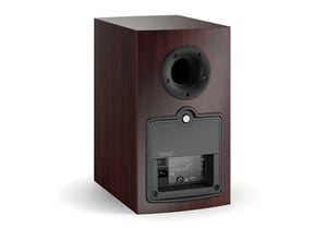 DALI case 10